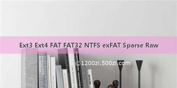 Ext3 Ext4 FAT FAT32 NTFS exFAT Sparse Raw