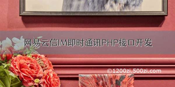 网易云信IM即时通讯PHP接口开发