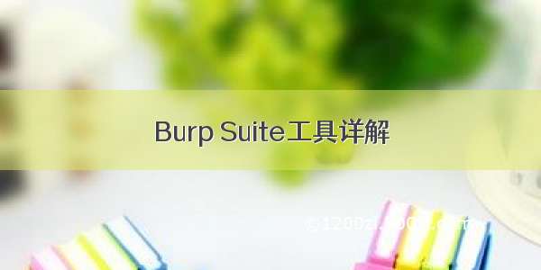 Burp Suite工具详解