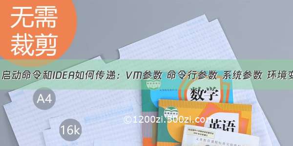 【方向盘】启动命令和IDEA如何传递：VM参数 命令行参数 系统参数 环境变量参数 ma