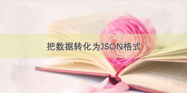 把数据转化为JSON格式