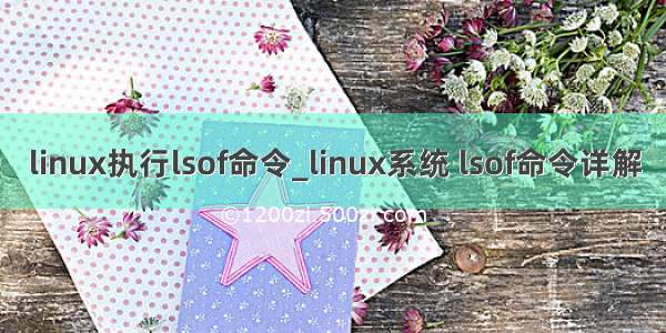 linux执行lsof命令_linux系统 lsof命令详解