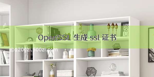 OpenSSL 生成 ssl 证书