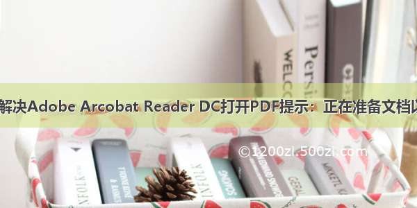 【软件问题】解决Adobe Arcobat Reader DC打开PDF提示：正在准备文档以供阅读 请稍后