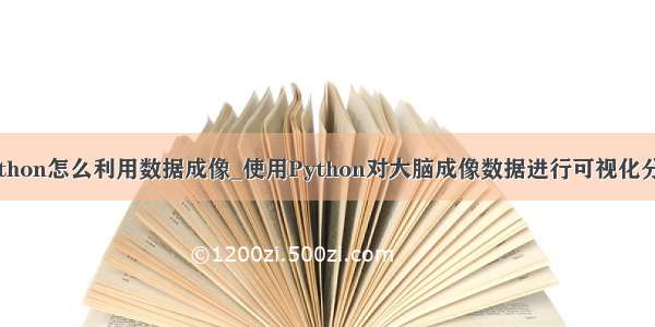 python怎么利用数据成像_使用Python对大脑成像数据进行可视化分析