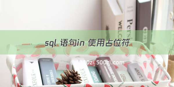 sql 语句in 使用占位符