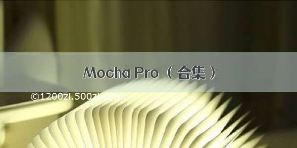 Mocha Pro （合集）