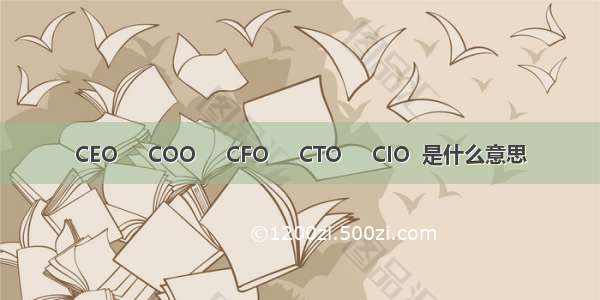 CEO     COO     CFO     CTO     CIO  是什么意思