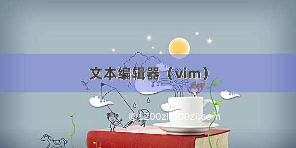 文本编辑器（vim）