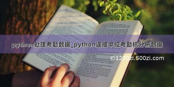 python处理考勤数据_python连接中控考勤机分析数据