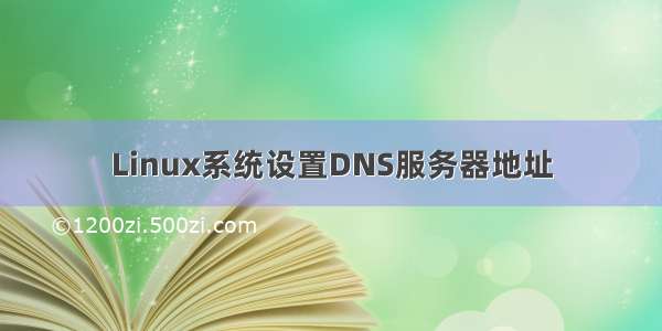 Linux系统设置DNS服务器地址