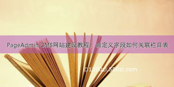 PageAdmin CMS网站建设教程：自定义字段如何关联栏目表