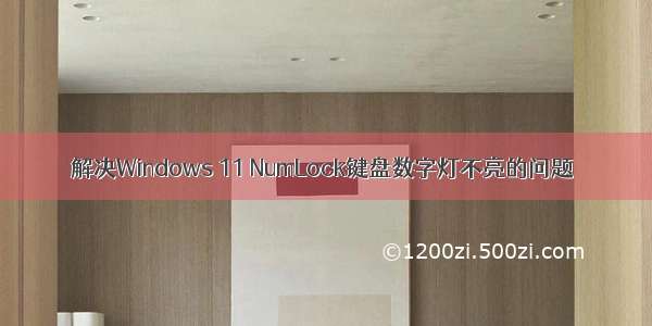 解决Windows 11 NumLock键盘数字灯不亮的问题