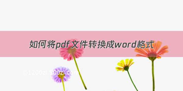 如何将pdf文件转换成word格式