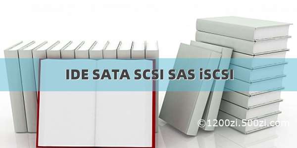 IDE SATA SCSI SAS iSCSI