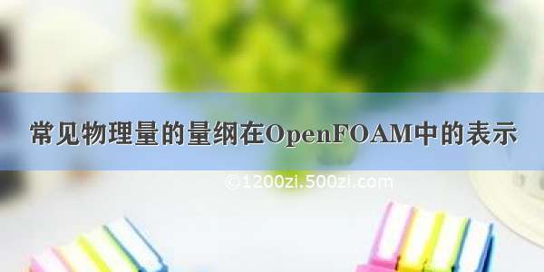 常见物理量的量纲在OpenFOAM中的表示