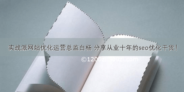 实战派网站优化运营总监白杨 分享从业十年的seo优化干货！