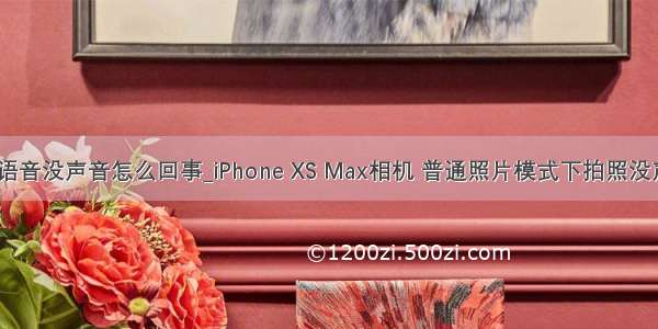 苹果手机微信语音没声音怎么回事_iPhone XS Max相机 普通照片模式下拍照没声音怎么办？...