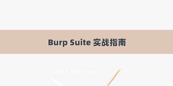 Burp Suite 实战指南