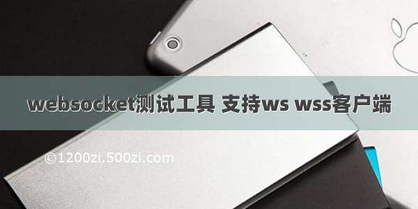 websocket测试工具 支持ws wss客户端