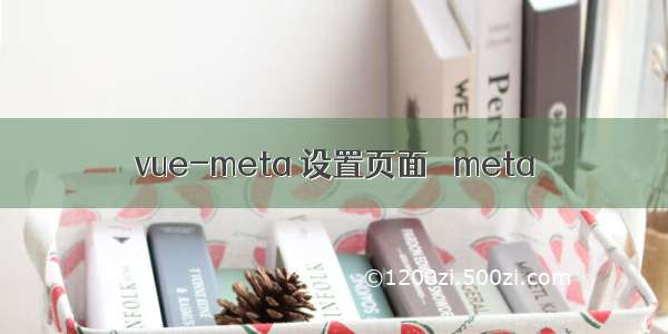 vue-meta 设置页面 ＜meta＞