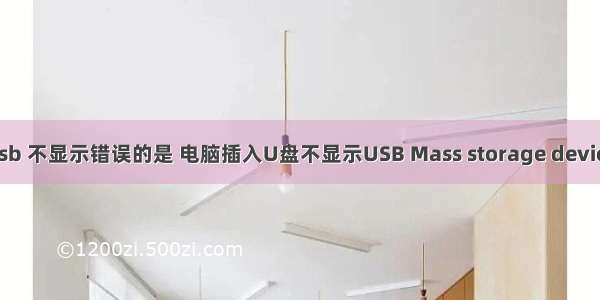 计算机usb 不显示错误的是 电脑插入U盘不显示USB Mass storage device感叹号