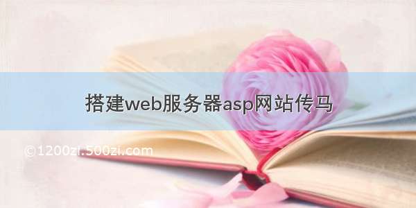 搭建web服务器asp网站传马