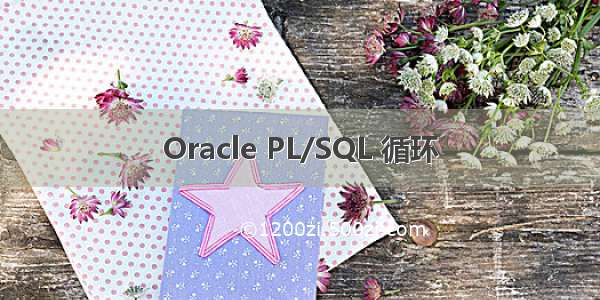 Oracle PL/SQL 循环