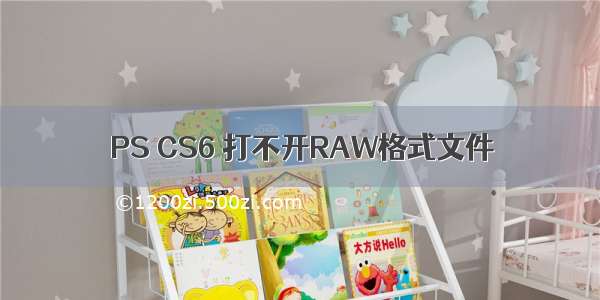 PS CS6 打不开RAW格式文件