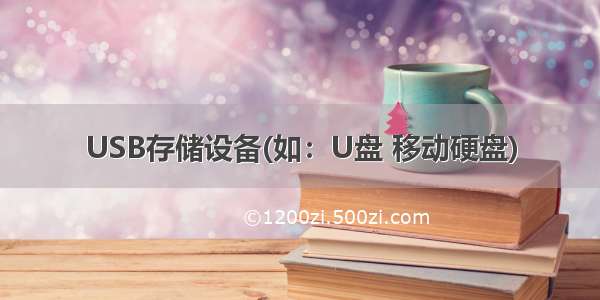 USB存储设备(如：U盘 移动硬盘)