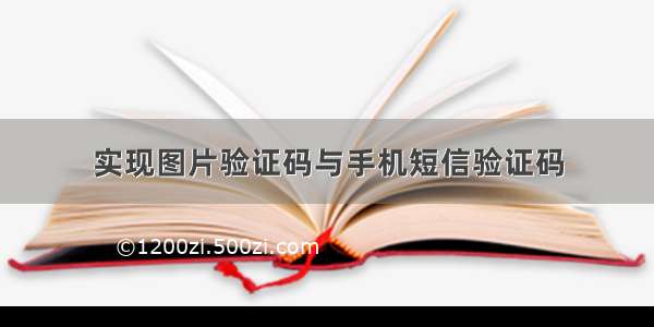 实现图片验证码与手机短信验证码