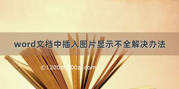 word文档中插入图片显示不全解决办法