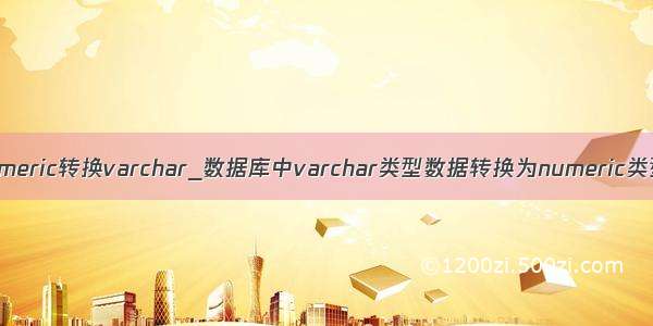 numeric转换varchar_数据库中varchar类型数据转换为numeric类型