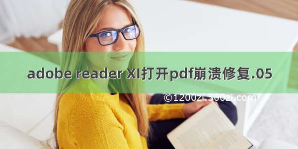 adobe reader XI打开pdf崩溃修复.05