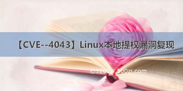 【CVE--4043】Linux本地提权漏洞复现