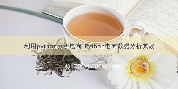 利用python分析电商_Python电商数据分析实战