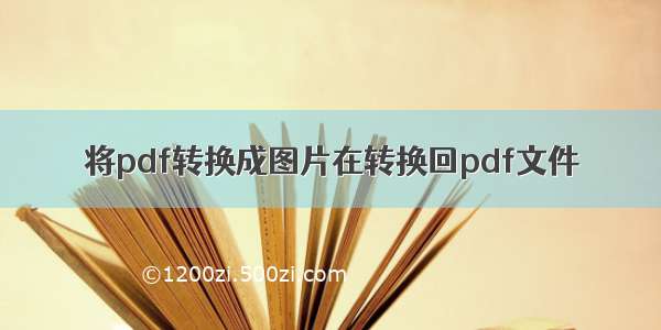 将pdf转换成图片在转换回pdf文件