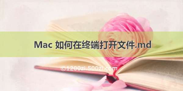 Mac 如何在终端打开文件.md