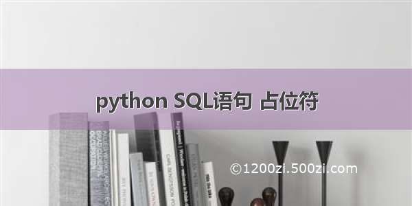 python SQL语句 占位符