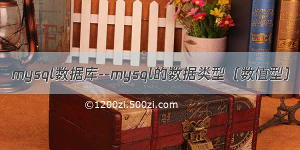 mysql数据库--mysql的数据类型（数值型）