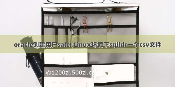 oracle创建用户saler Linux环境下sqlldr一个csv文件