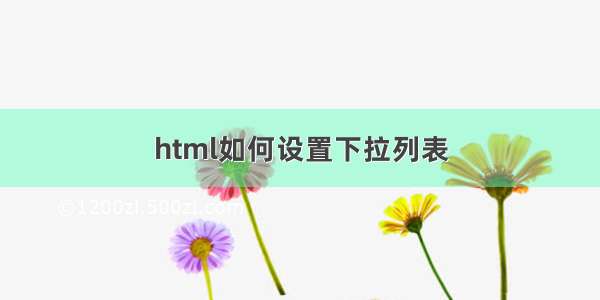 html如何设置下拉列表