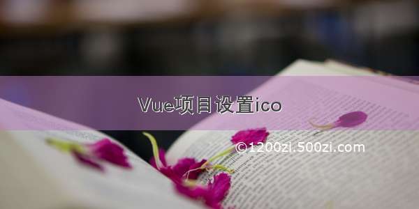 Vue项目设置ico