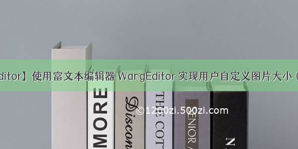 【WangEditor】使用富文本编辑器 WangEditor 实现用户自定义图片大小（改js源码）