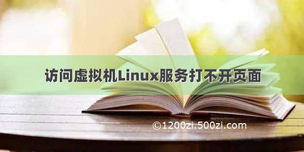 访问虚拟机Linux服务打不开页面