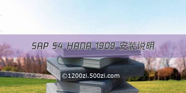 SAP S4 HANA 1909 安装说明