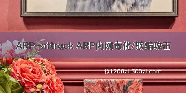 ARP-attrack ARP内网毒化/欺骗攻击