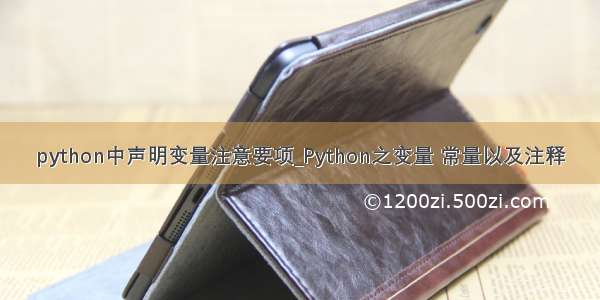 python中声明变量注意要项_Python之变量 常量以及注释