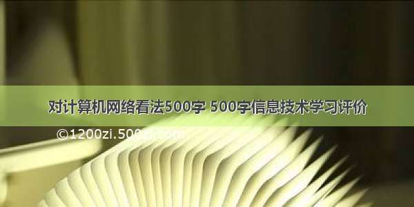 对计算机网络看法500字 500字信息技术学习评价