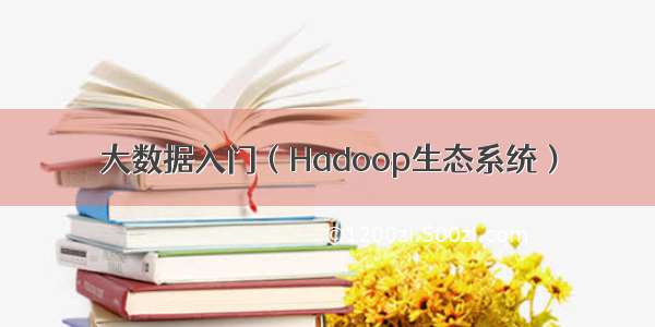 大数据入门（Hadoop生态系统）